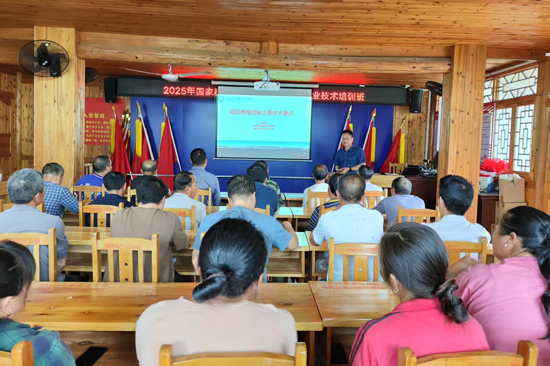 开展稻田养殖泥鳅培训。彩神IV-追求健康你我一起成长供图